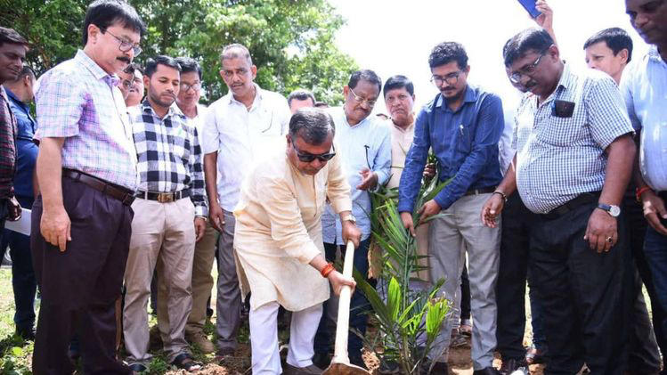 Tripura’s Push for Oil Palm to Cut Imports and Raise Farmer Income