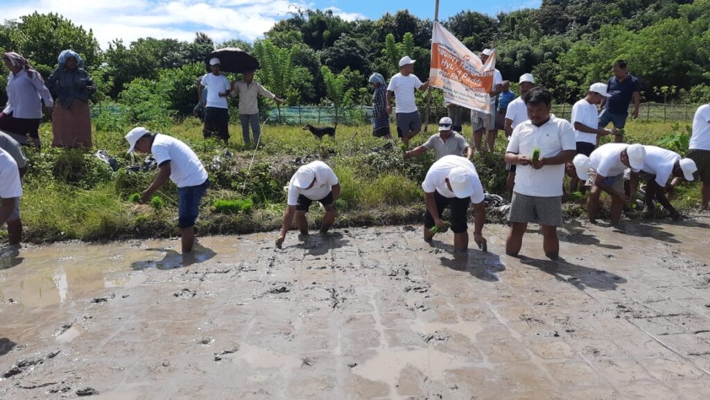 Community Transplant Program held in Belbari Agricultural Subdivision 2 a95f32f6 eb87 4275 a2a5 58fa8df236a6