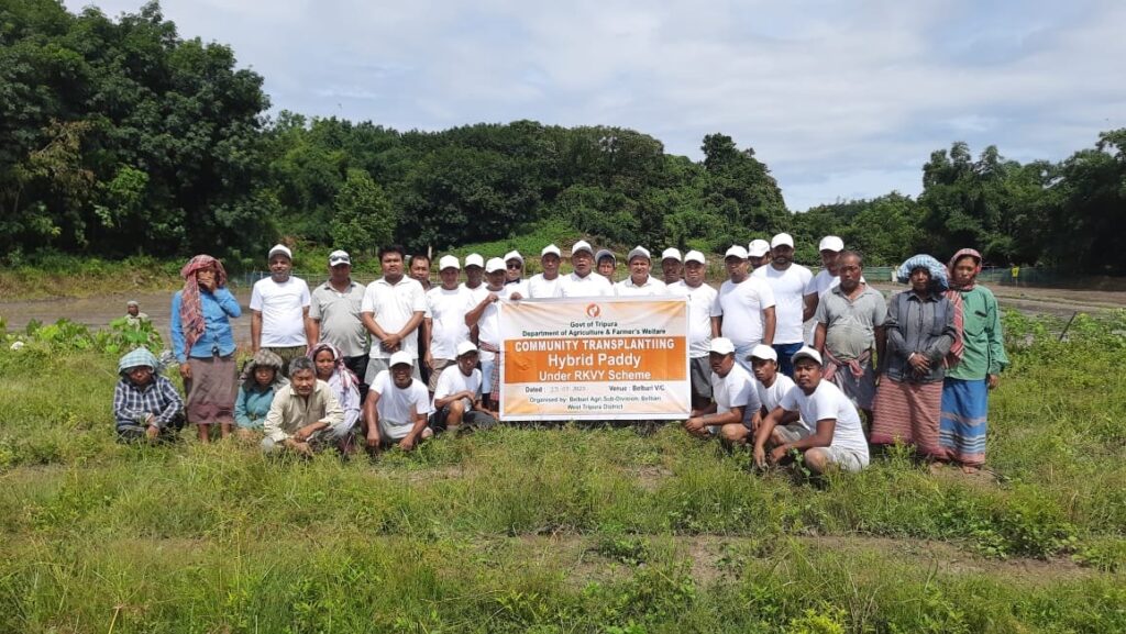 Community Transplant Program held in Belbari Agricultural Subdivision 1 dd1b3c28 f743 4ba2 bd48 22bc91267f08