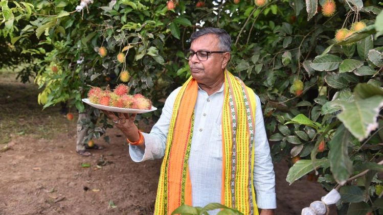 Tripura Introduces Exotic Fruits, Expands Potato Seed Production to Boost Farmer Incomes 1 Tripura Introduces Exotic Fruits, Expands Potato Seed