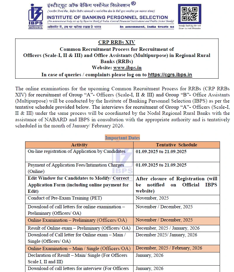 IBPS RRB Recruitment 2025: Golden Opportunity to Apply for Group A & B Posts 1 IBPS RRB Recruitment 2025 Golden Opportunity to Apply for Group A & B Posts