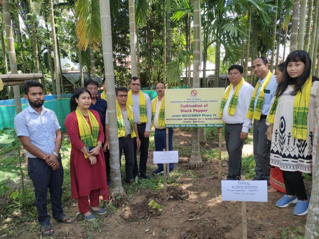 Tripura Launches Organic Black Pepper Plantation Drive in Jirania