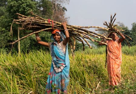 Centre Releases Rs 275 Crore for Jharkhand PRIs 1 Centre Releases Rs 275 Crore for Jharkhand PRIs