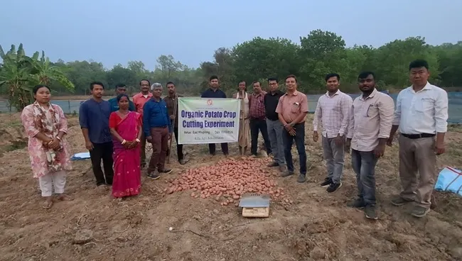 ARC Potatoes Under Organic Farming in Tripura’s Killa Subdivision